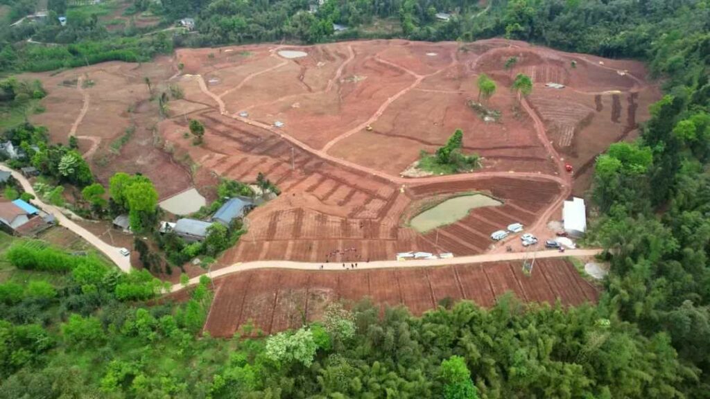 Sentaiyuan Konjac planting base