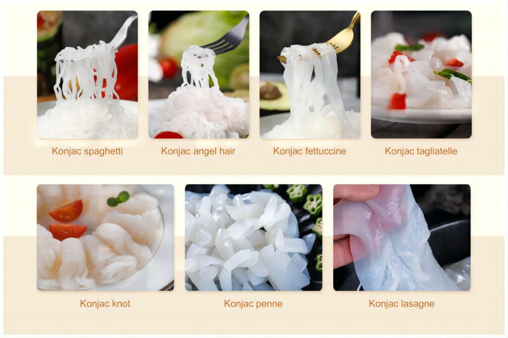 Shirataki Noodles Shapes